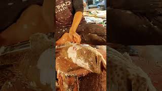 Fabulous Big Hamour Fish Cutting Skills