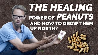 THE HEALING POWER OF PEANUTS - And How to Grow Them Up North.