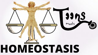 HOMEOSTASIS (líquidos corporales,Control de la homeostasis,Sistemas de retroalimentación ) MedsToons