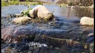 潺潺流水声