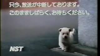 1990～91年頃? 新潟総合テレビ FNNニュース 放送事故