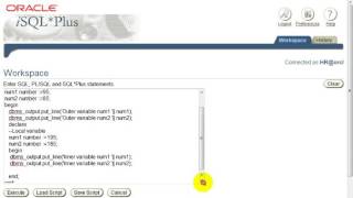 Oracle 10g PL SQL Class 5-Variable Scope