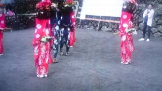 2016年 栃久保根元神社三匹獅子舞(女獅子隠し)