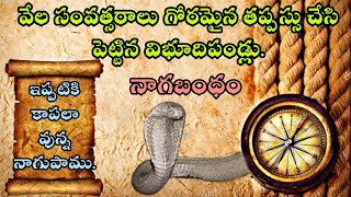 Mystery of Naga Bandham temples, Nayanalappa Temple, by Rayalaseema Rockstar