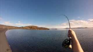 Dry fly fishing - Lake Þingvallavatn / Thingvallavatn