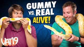 Gummy vs Real: Live Animals | VAT19It's Alive! | Gummy Vs. Real | VAT19