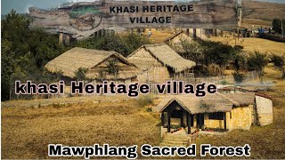 |Mawphlang Sacred Forest | Khasi Heritage village | Meghalaya | #meghalaya #khasi #hills