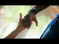 💕hot couple s romance girlfriend boyfriend romance romantic couple s whatsapp status tamil new 💕