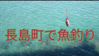 長島町で魚釣り