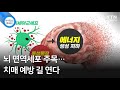 뇌 면역세포 주목…치매 예방 길 연다 / YTN 사이언스