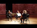 Viva La Vida Coldplay Ivana String Quartet