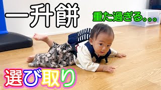 一升餅＆選び取り！まだ立っち出来ないけど奇跡は起きるかな？そして双子のお兄ちゃんお姉ちゃんと同じモノ選ぶのかな！？１歳誕生日に密着