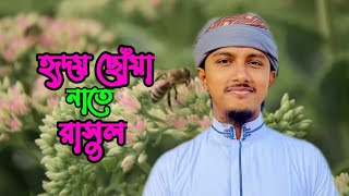 হৃদয় ছোঁয়া নাতে রাসুল | Tomari Premete Mon Holo Je Diwana । tawhid jamil | #gojol #bangla_gojol