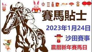 賽馬貼士 沙田賽事 (2023年1月24日) [農曆新年賽馬日]《大年初三》