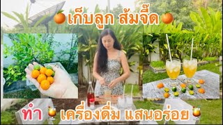 เก็บลูก ส้มจี๊ด ทำเครื่องดื่ม แสนอร่อย (Ep.50)| Rose Aesthete | De Kooter Garden