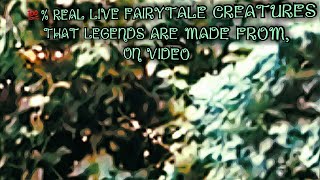 April 16, 2021 Real Live Fairy Caught on Video \u0026 Creatures Legends are made from