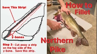 FAST and Boneless Northern Pike Filleting Method