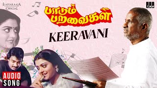Keeravani Song | Paadum Paravaigal Movie | Ilaiyaraaja | Karthik | Bhanupriya | SPB | S. Janaki