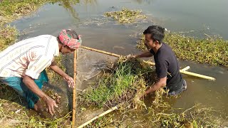 গ্রামের ঠেলা জাল দিয়ে মাছ ধরার অসাধারণ পদ্ধতি দেখলে অবাক হবেন  Amazing Net Fishing in village Area