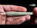 Download How to roll a regular kingsize joint - GermanWeedBoys In Mp4 3Gp Full HD Video