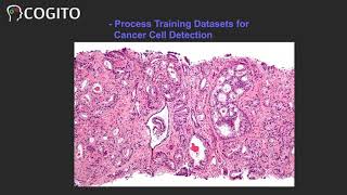 Data Labeling in ML Project for Cancer Cell Detection, Cancer Prediction and Prognosis