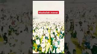 Wo Mera nabi hai naat islamic video status MashAllah Mewat #shorts #shortvideos#viral#trending #naat