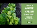 Join the Year-Round Gardening Mini-Course for FREE!