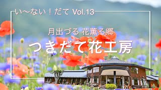 い〜ない！だて Vol 13   つきだて花工房