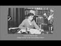 Extract from Introduction to the work of Anna Freud - Anna Freud and the BPAS