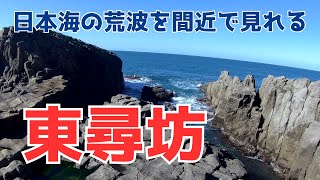 【驚異】の自然美！福井県坂井市【東尋坊】の絶景散策と観光ガイド