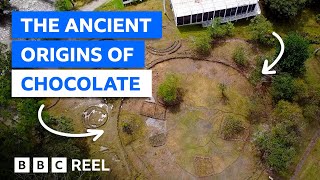 The ancient civilisation that discovered chocolate – BBC REEL