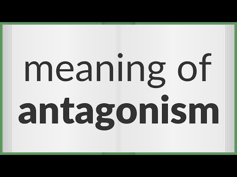 What is a definition of antagonism?