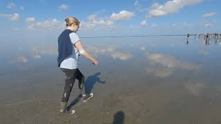 Enjoying Mudflat walking in The Netherlands in 4K.