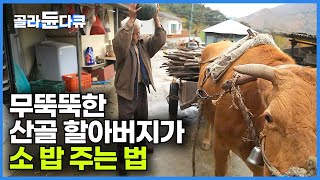 느리게 흘러가는 시간 속 옛날 모습을 그대로 간직한 산골. 무뚝뚝한 할아버지와 순한 소 한 마리｜별빛마을 산골 할아버지 이토록 찬란한 가을｜70년대 시골 풍경｜한국기행｜#골라듄다큐