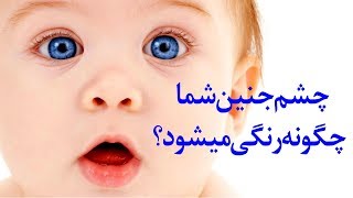 چشم جنین شما چگونه رنگی میشود؟