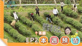 【全明星觀察中2】第二集預告∣第一次苦力活∣ 馬玉山無添加蔗糖紅藜麥核桃飲