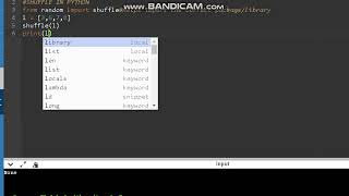 Python Programming - from random import shuffle