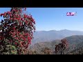 dailekh गुराँस गाउँपालिका