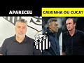 GALLO APARECEU! | MT NEGA PROCURA POR NOVO TREINADOR | CAIXINHA OU CUCA?