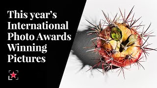 Award winning food photography at the International Photo Awards 2019 | Fine Dining Lovers
