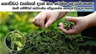 ගොඩ යන්න හරි පාර.....papper flatbed dryer/ NC engineering