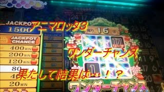 【メダルゲーム】アニマロッタ３　ワンダーチャンス果たして結果は…！？