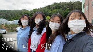 [대안학교vlog] 아 미치겠다ㅋㅋ 누나 벚꽃이 그렇게 좋아요? ｜벚꽃나들이 근데 벚꽃은 없는🌸｜연하빌런이라고들 들어봤나 | 별무리학교