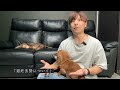 【犬７頭と暮らすおっさん】犬の乳腺腫瘍について解説