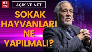 Sokak hayvanları ne yapılmalı? Prof. Dr. İlber Ortaylı yanıtladı