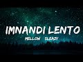 1 Hour |  Mellow & Sleazy x SjavasDeejay x TitoM - Imnandi lento (Lyrics) feat. Tman Xpress  - Lyri