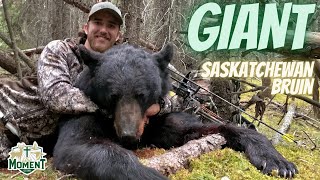 Saskatchewan POPE \u0026 YOUNG Black Bear! | Archery Spring Black Bear