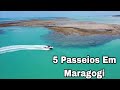 Maragogi Alagoas Os Melhores Passeios 4K