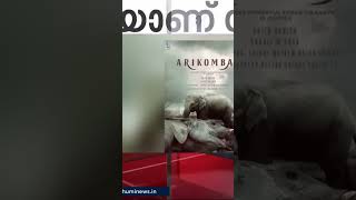 അരിക്കൊമ്പന്റെ ജീവിതം സിനിമയാകുന്നു 🔥🐘 #arikomban