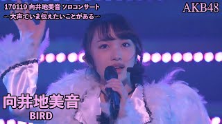 向井地美音(AKB48) - BIRD ~ Mukaichi Mion Solo Concert